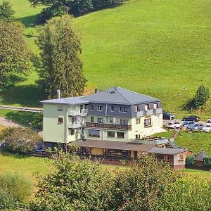 Hotel Gruener Baum Mit Restaurant & Wellness